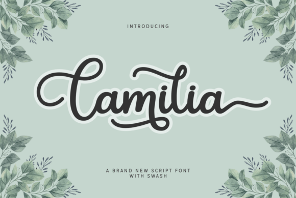 Camilia: A Refined Script Font for Digital Branding