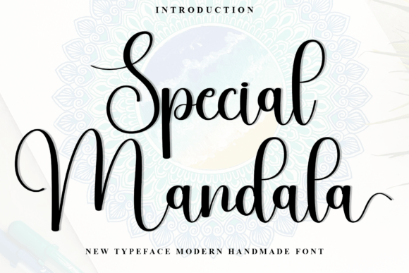 Special Mandala: A Script Font That Builds Brand Warmth & Scroll-Stopping Clarity